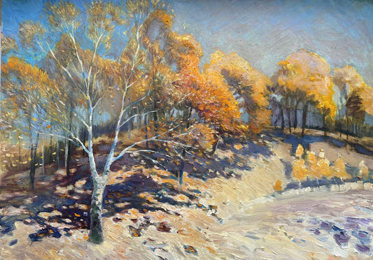 Hills of the Vasylkiv Carpathians