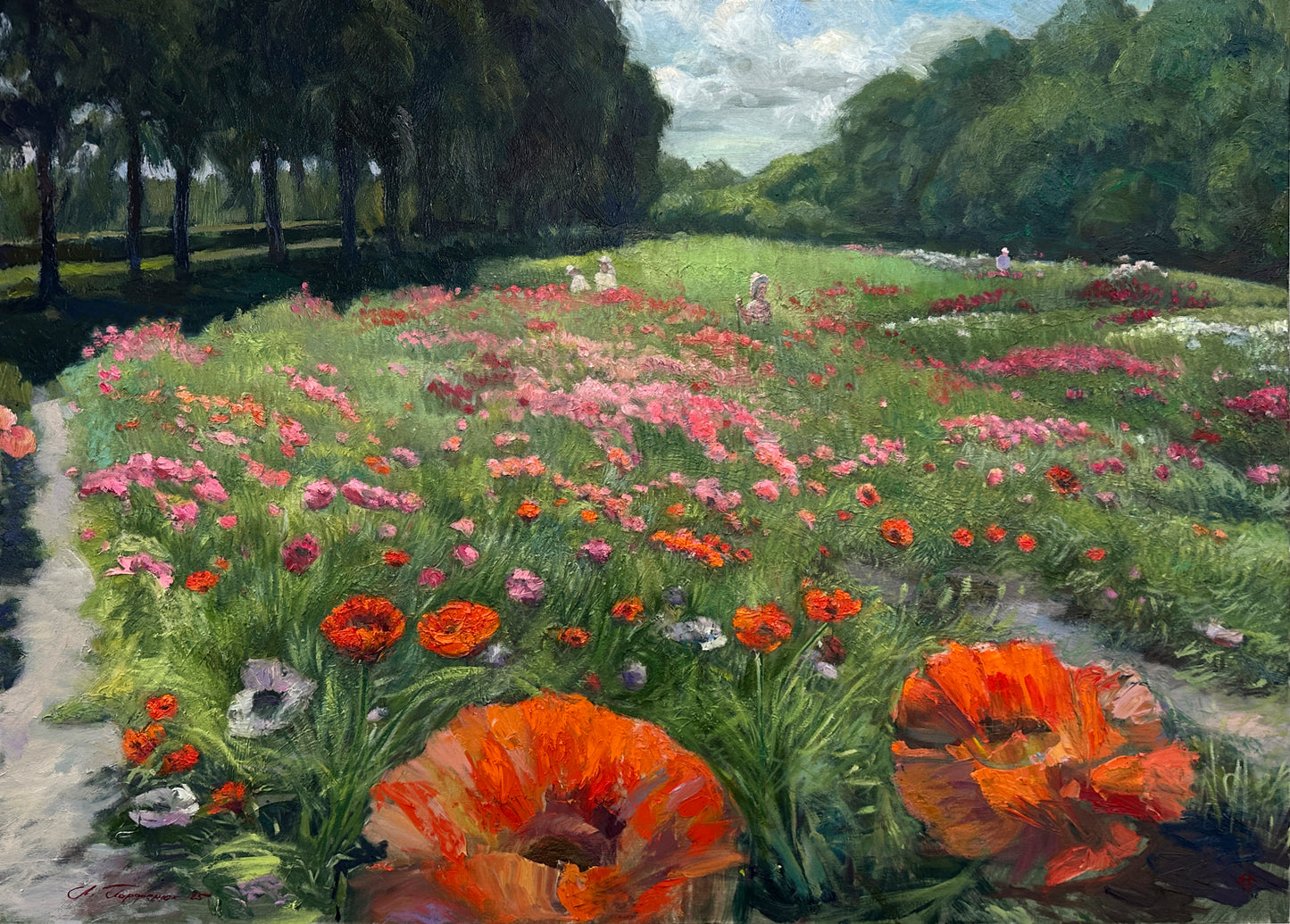 Poppies