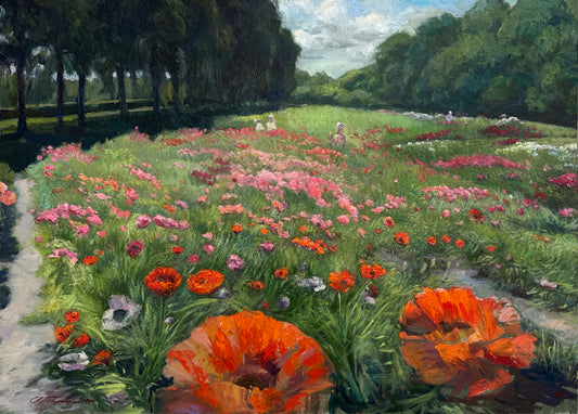 Poppies