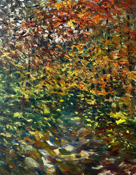 Colors and Shadows