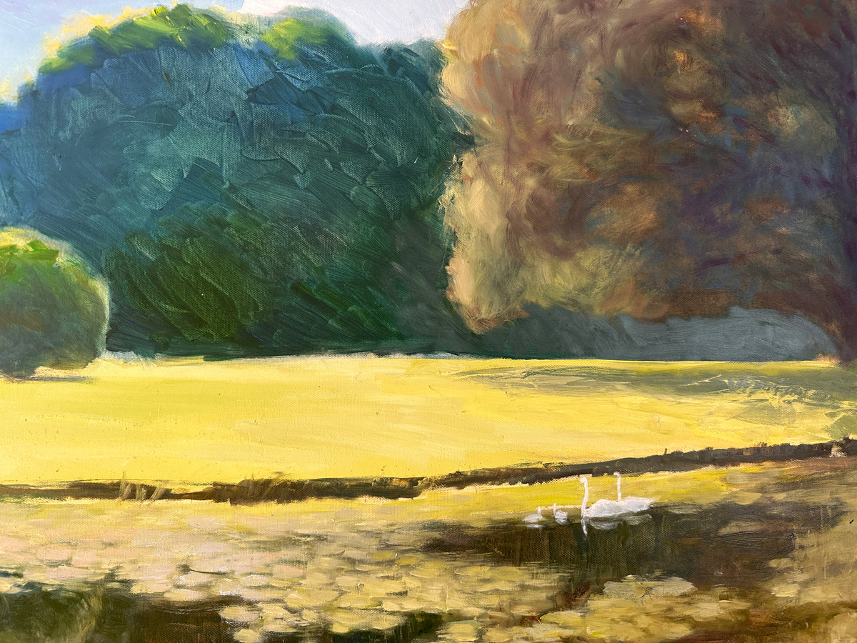 Branitz Park 3