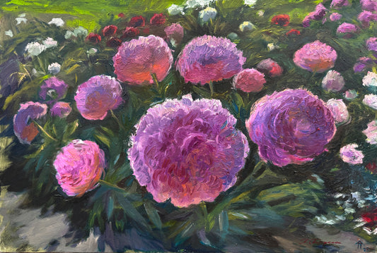 Peony Symphony