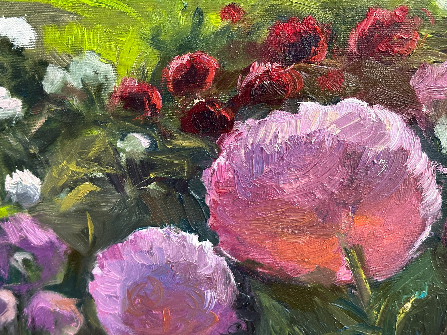 Peony Symphony