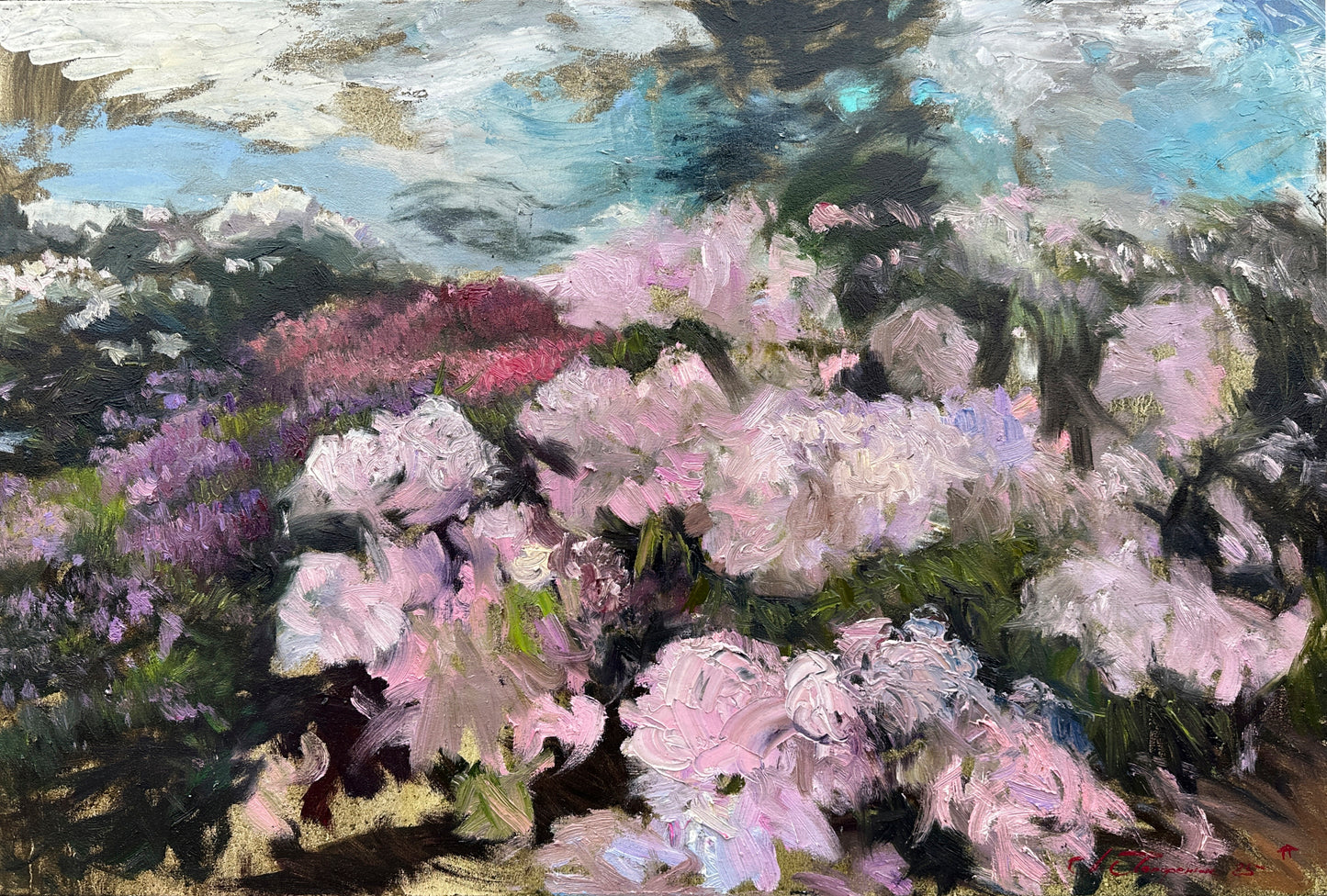 Botanical Garden Azaleas