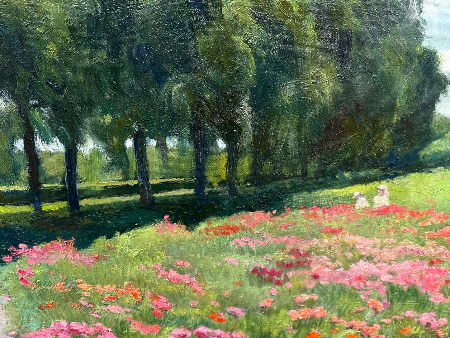 Poppies