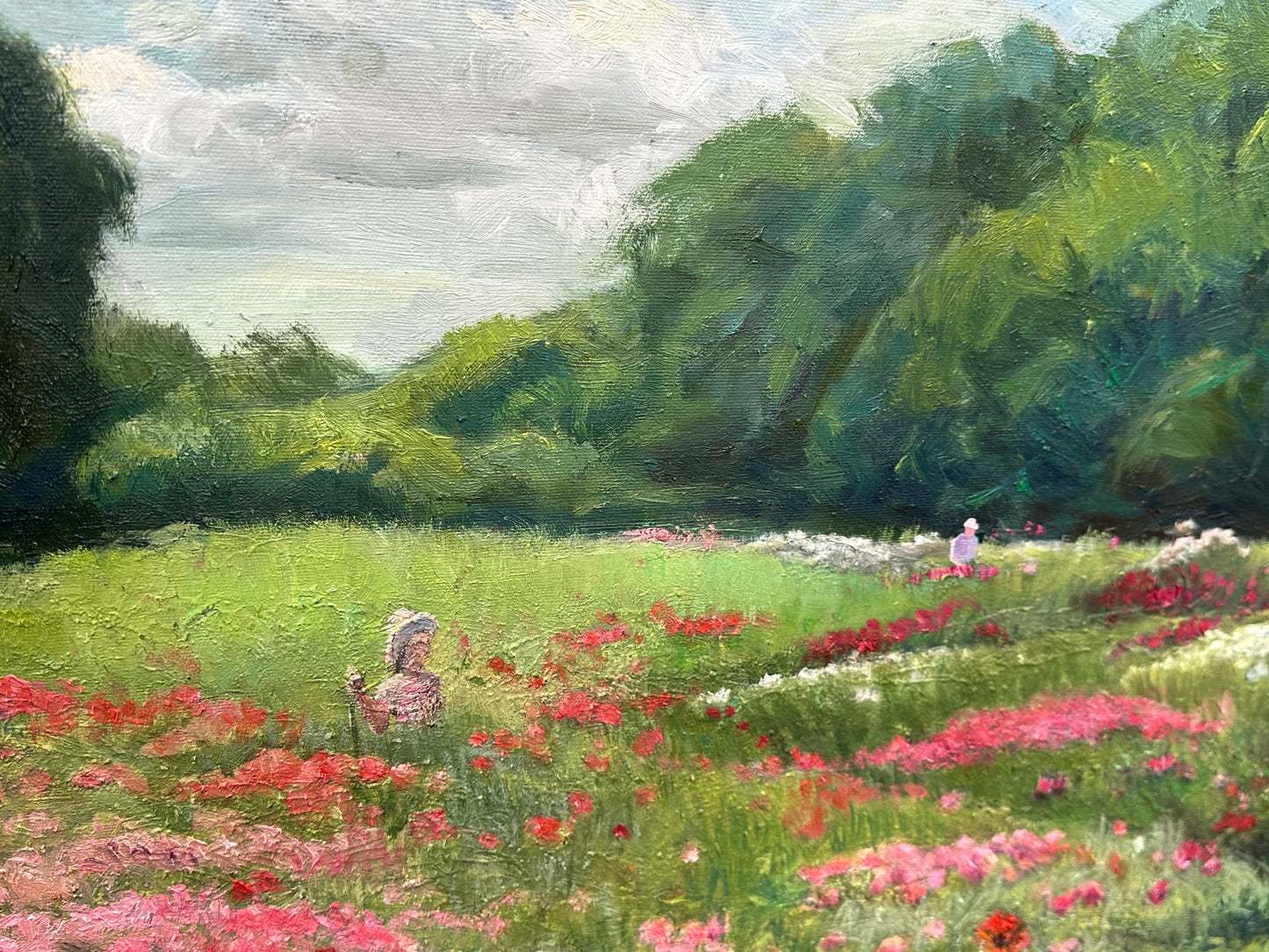 Poppies