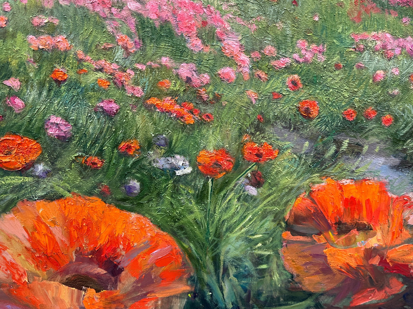 Poppies