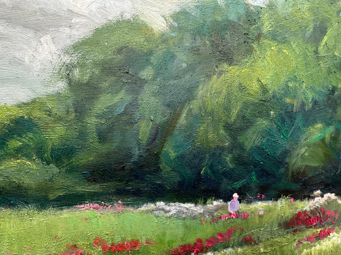 Poppies