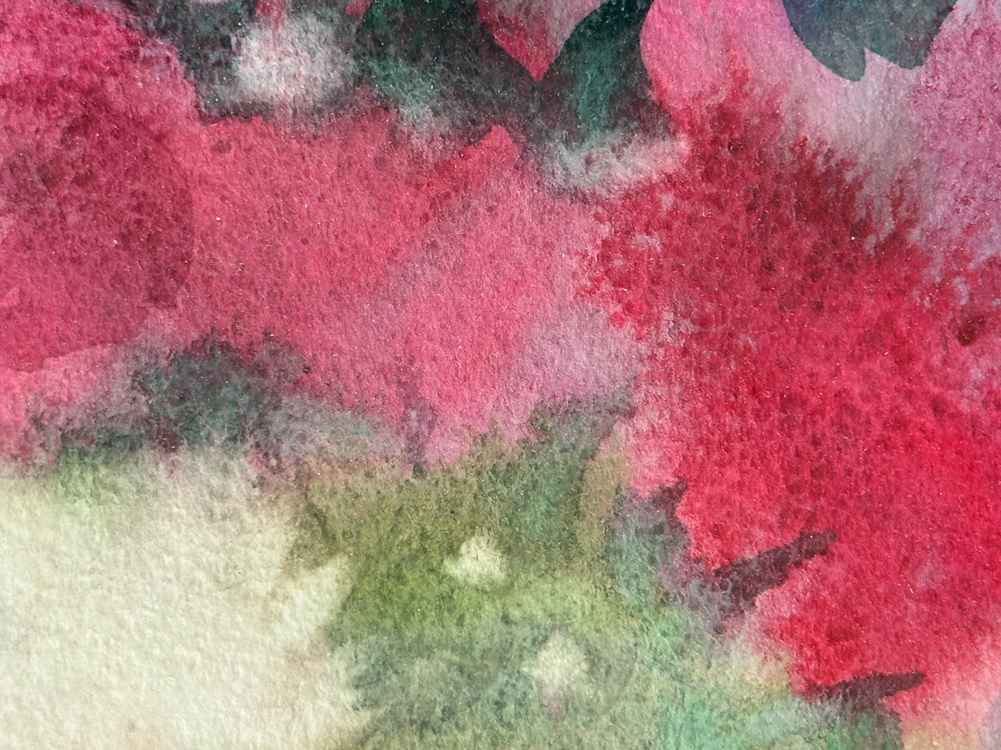 Summer Roses
