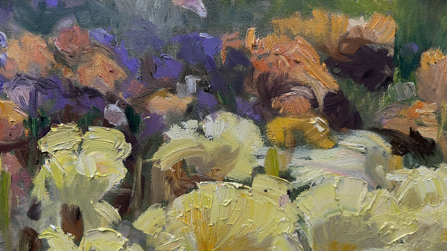 Botanical Garden Irises