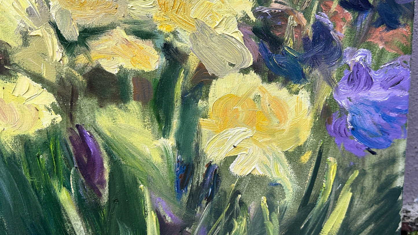 Botanical Garden Irises