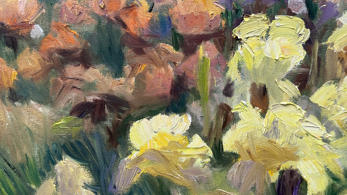 Botanical Garden Irises