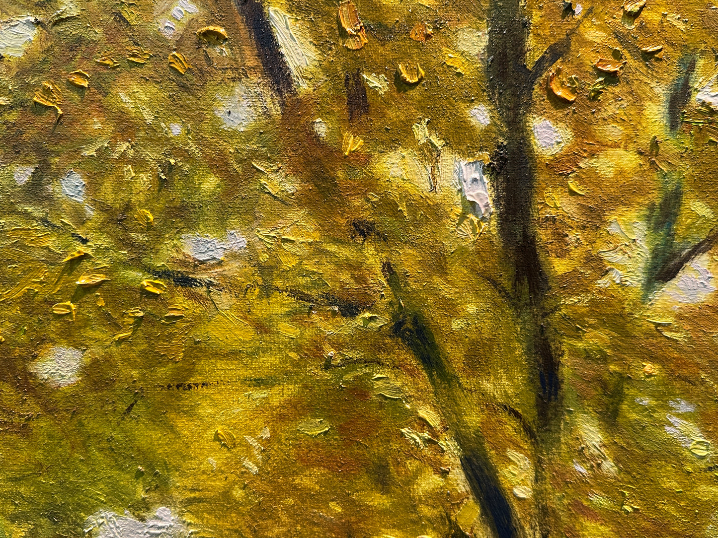 Autumn Gold